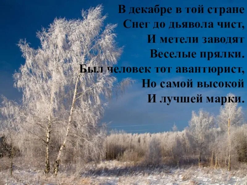 Береза в декабре. В декабре в той стране снег до дьявола чист. Декабрь. Белые белые в декабре.