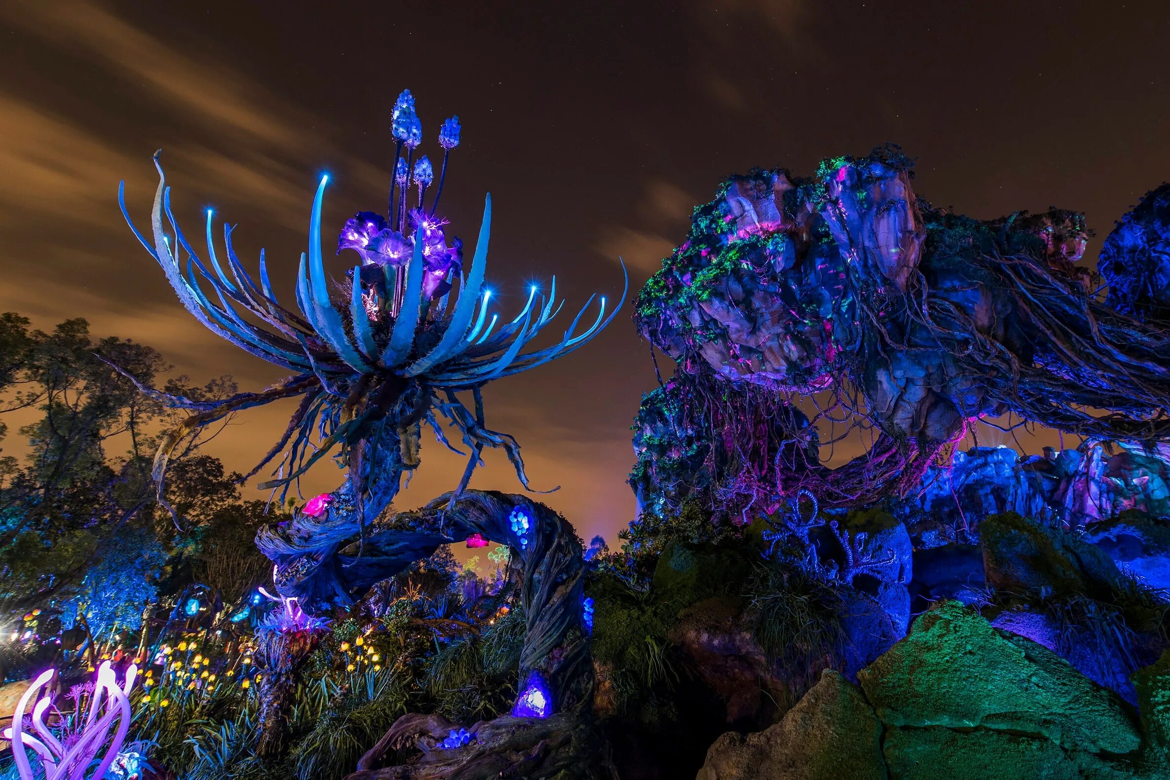 Климат пандоры. Мир пандоры аватар. Пандора планета. Пандора планета. Пандора джунгли.