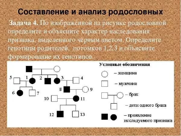 Родословная генетика пробанд. Родословная задание по генетике. Родословные задачи по генетике пробанд. Генеалогический анализ родословной.