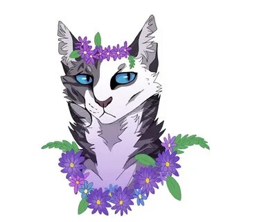 Тая кот