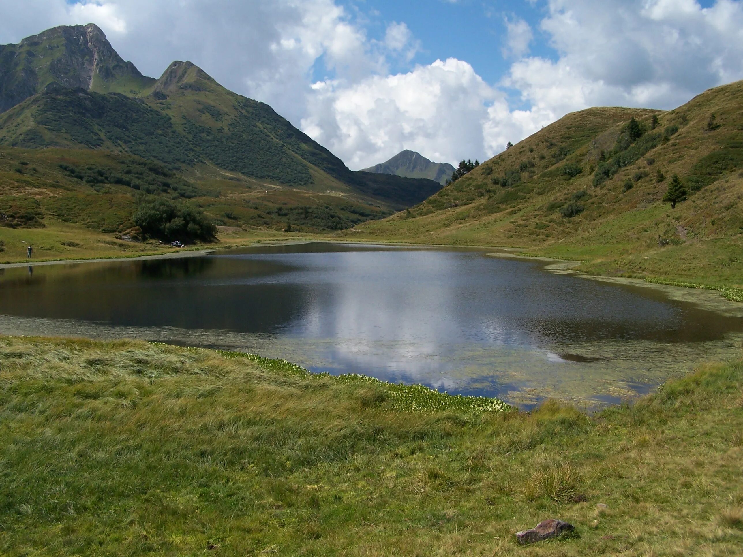 Искусственный пруд большой. Создание озер. Создание озер. Филипповский пруд новорижское шоссе. Озеро толука лос анджелес.