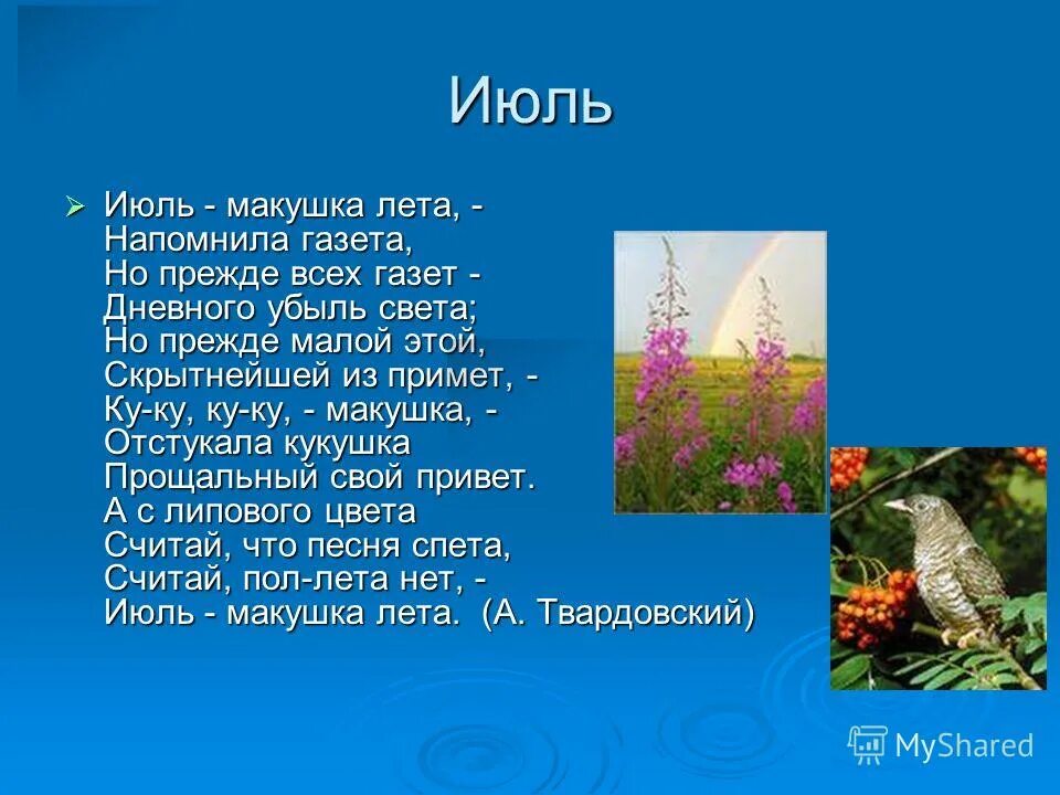 Июль стихотворение 7 класс твардовский. Июль макушка лета Твардовский. Стихотворение июль макушка лета. Твордовски июнь макушка лето. Стик июнь макушка лета.