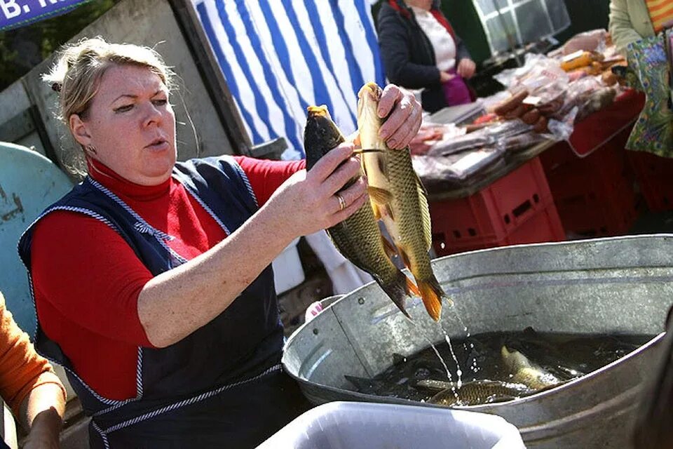 Рынок живая рыба. Продавец рыбы. Живая рыба на рынке. Продавщица рыбы на рынке. Торговля живой рыбой на рынке.
