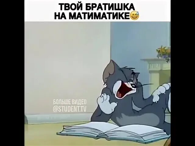 Твой братишка. Твой братишка есть