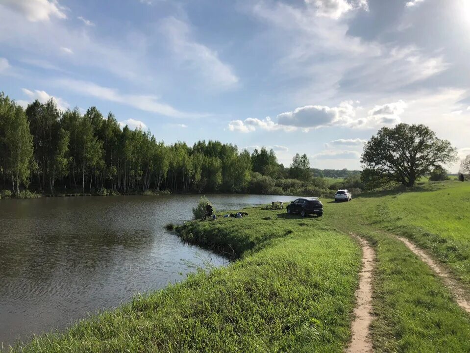 Пруд ледова. Платная рыбалка в кашире. ледовая рыбалка.