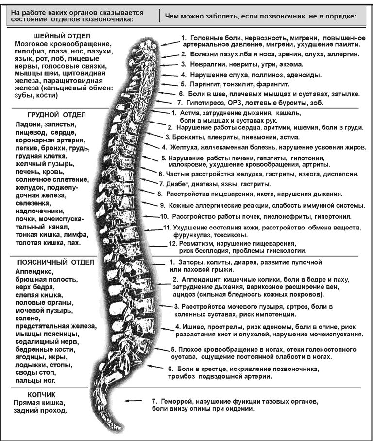 Поясница значение