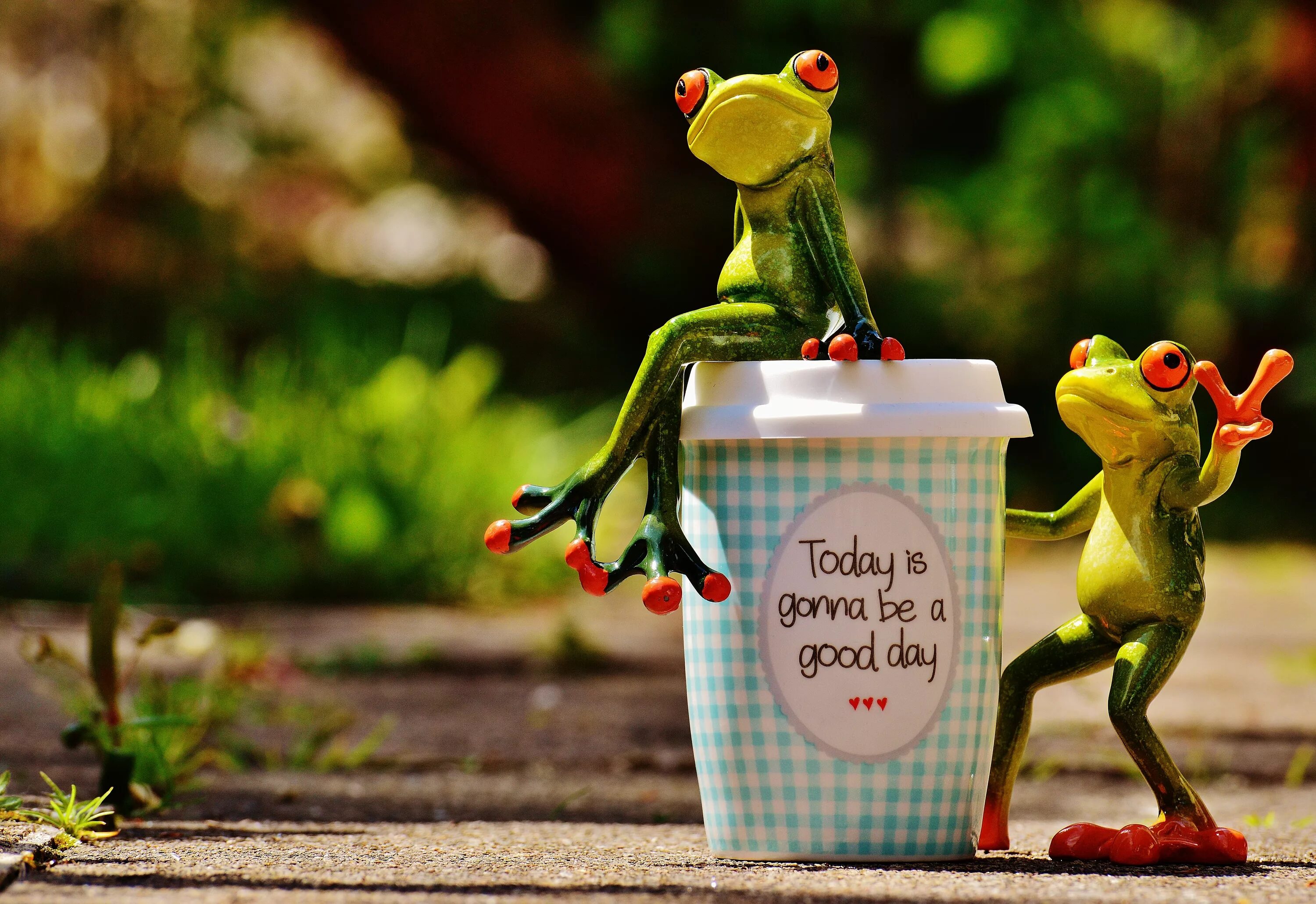 Стараемся хорошего дня. Хорошего дня креативные. Доброго дня креативные. Хорошего дня лягушка. Хорошего дня прикольные.