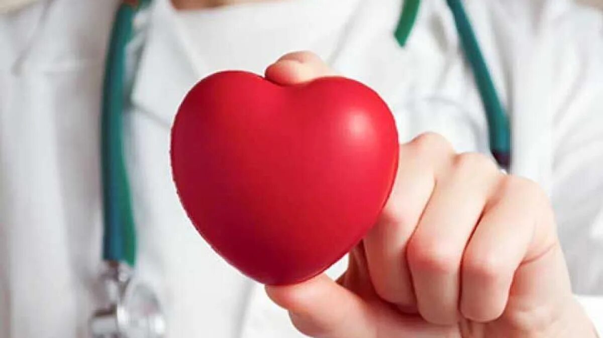 Врач занимающийся сердцем. Врач с сердцем. Здоровое сердце. Терапия сердечно-сосудистых заболеваний.