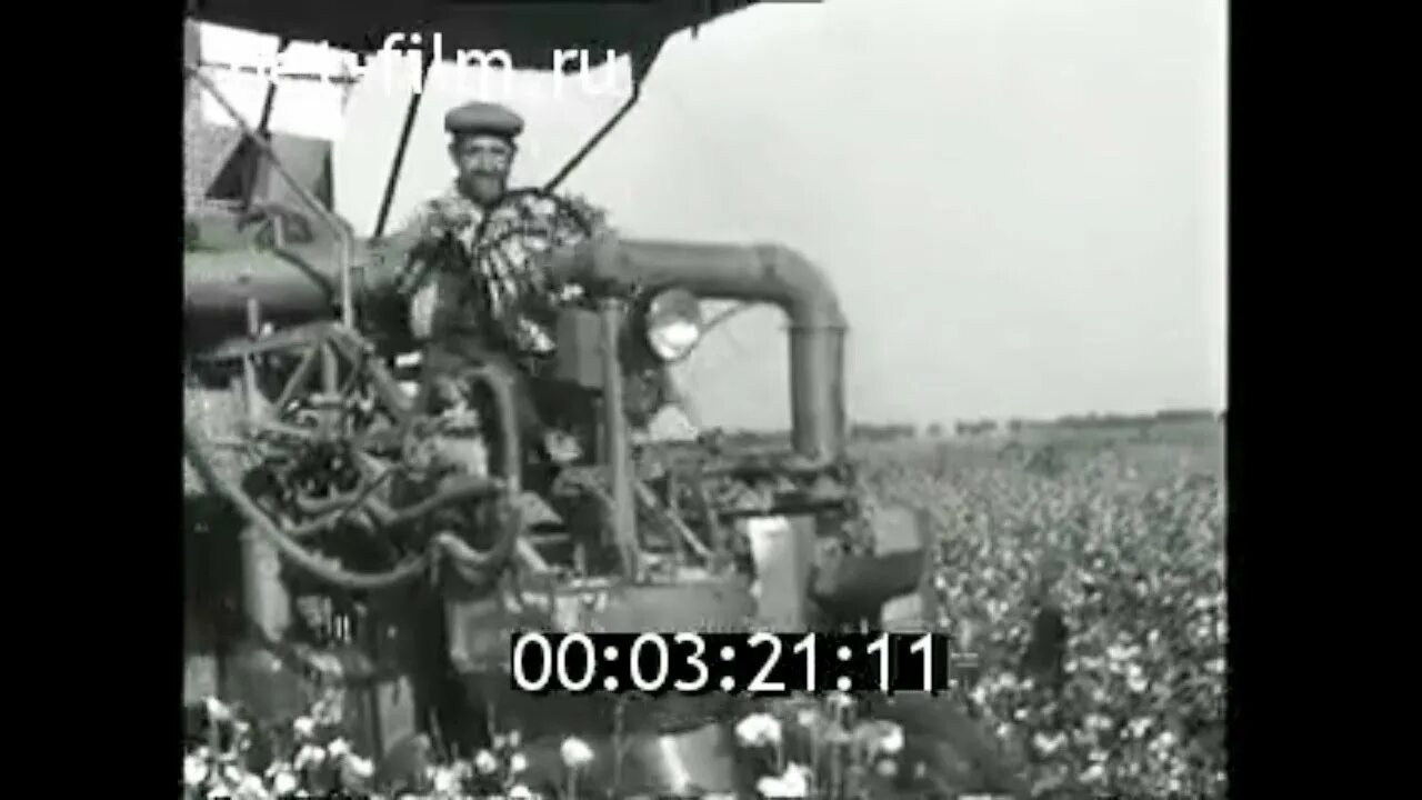 Песня совхоз. Совхоз имени ленина 1960. кино журнал совхоза имени цветкова. киножурнал 80 годов совхоз марьинский завод по производству.