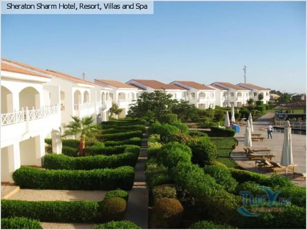 Sheraton sharm hotel 5 шарм. Отель шератон египет шарм-эль-шейх. sheraton sharm hotel, resort, villas &amp; spa (resort) 5*. шератон шарм-эль-шейх виллас шарм. sheraton sharm resort villas spa 5 шарм-эль-шейх.