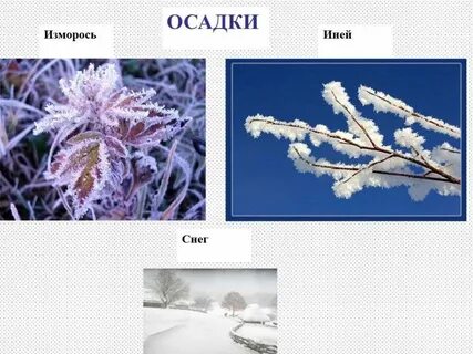 Иней или иний как правильно пишется проверочное