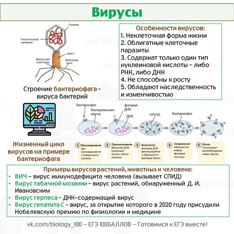 Вирусы ЕГЭ биология. Клетка ЕГЭ биология 2023. Догма молекулярной био вирусы. Биофаг ЕГЭ биология задания.