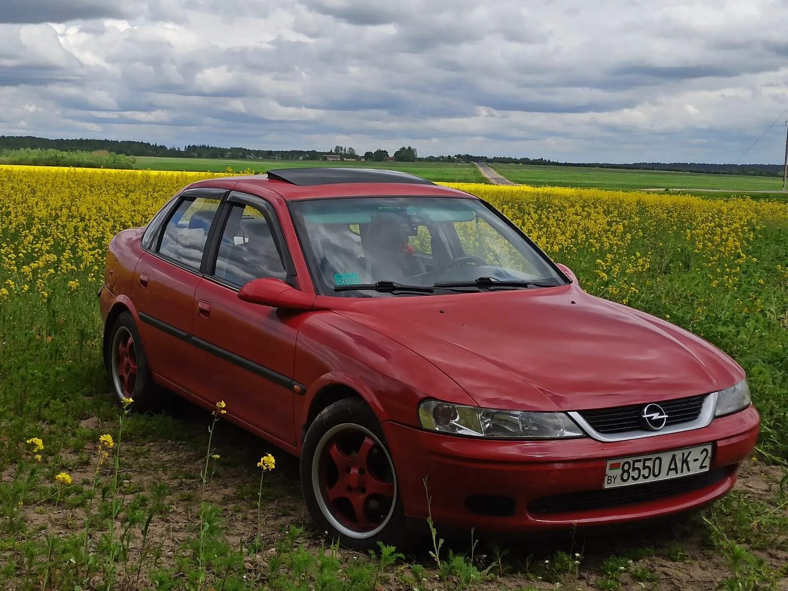 Opel v