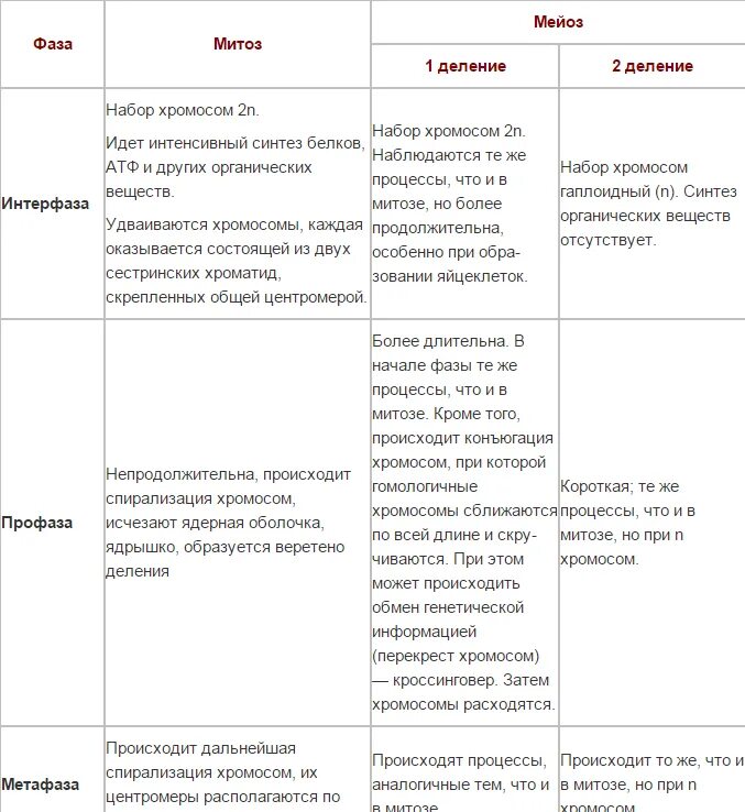 Основные отличия мейоза от митоза 9 класс. Сравнительная характеристика митоза и мейоза. Сравнительная характеристика фаз мейоза и митоза. Сравнение митоза и мейоза таблица. Биология 9 класс сравнительная характеристика митоза и мейоза.