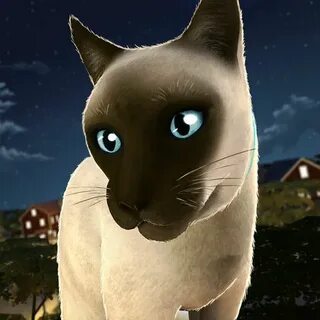 Игра кот 3д