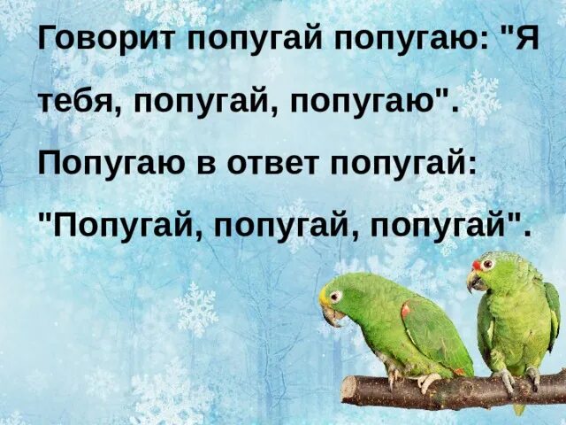 Какие слова говорят попугаи. Я тебя попугай попугаю. Скороговорка про попугая. Попугай попугаю скороговорка. Стих говорит попугай попугаю.