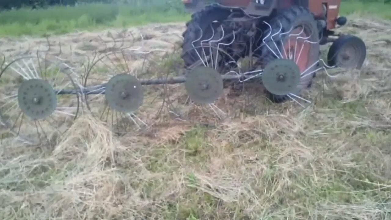 Т 25 на сенокосе. Гвк грабли ворошилки т25. Грабли ворошилки роторные для трактора мтз 82. Грабли ворошилки навесные на трактор т25. Грабли на трактор т25.