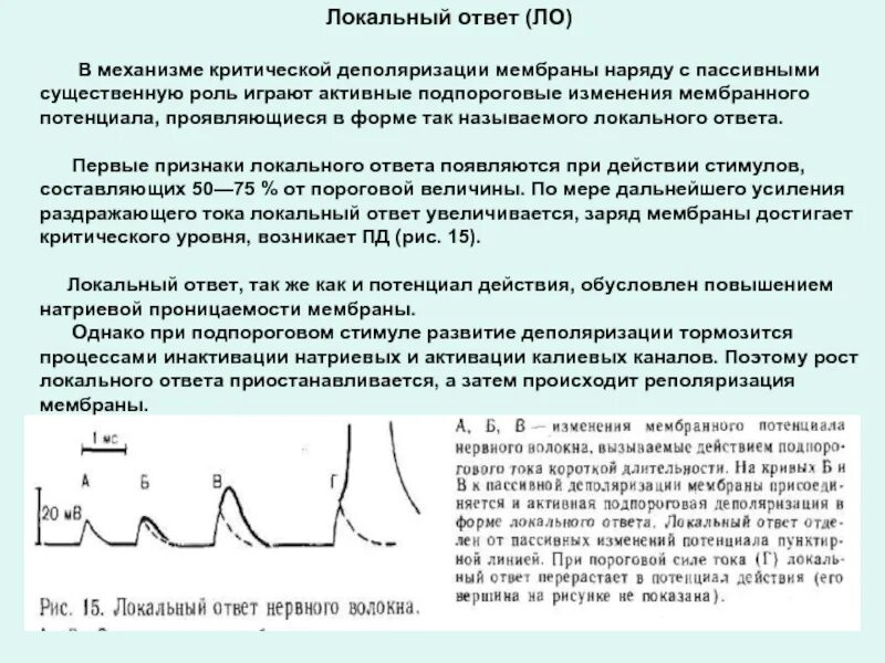 Иммунный ответ физиология. Физиологические основы иммунитета. Ионный механизм локального ответа. Физиологический ответ это. Физиологические свойства мышечной ткани.