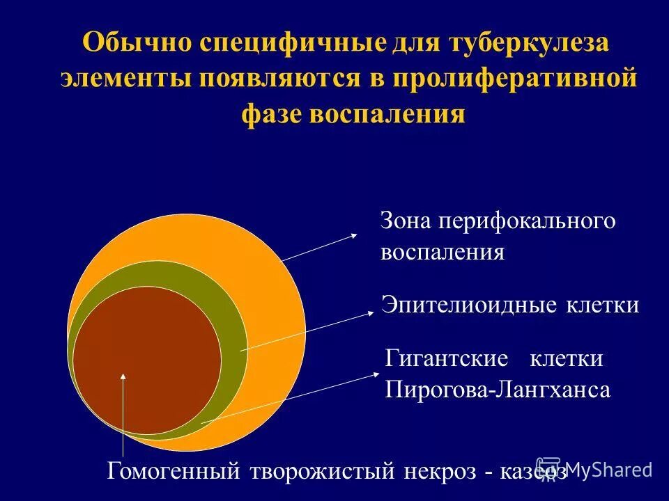 стадии сосудистой реакции при воспалении. биохимические изменения в зоне воспаления. этиопатогенез фото. причины процесса воспаления. что значит перифокальное воспаление.