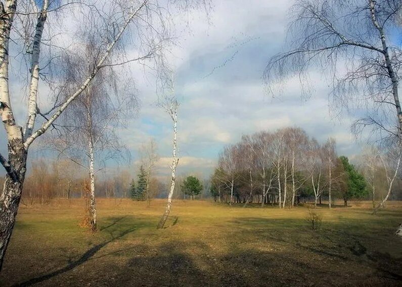 Улетели весной