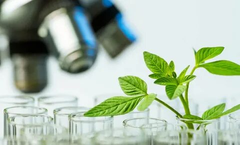 Chemical environment