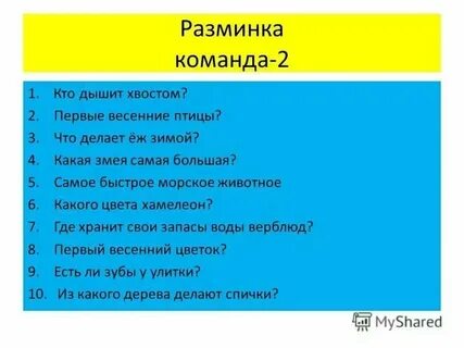 Толстой писал в безнравственном обществе