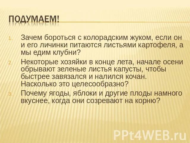 Зачем справиться. Колорадский Жук ест клубни картофеля. Зачем бороться с комплексами. Зачем на листву картошки накладывают солому. Клубни картофеля ест ли колорадский Жук фото и описание.