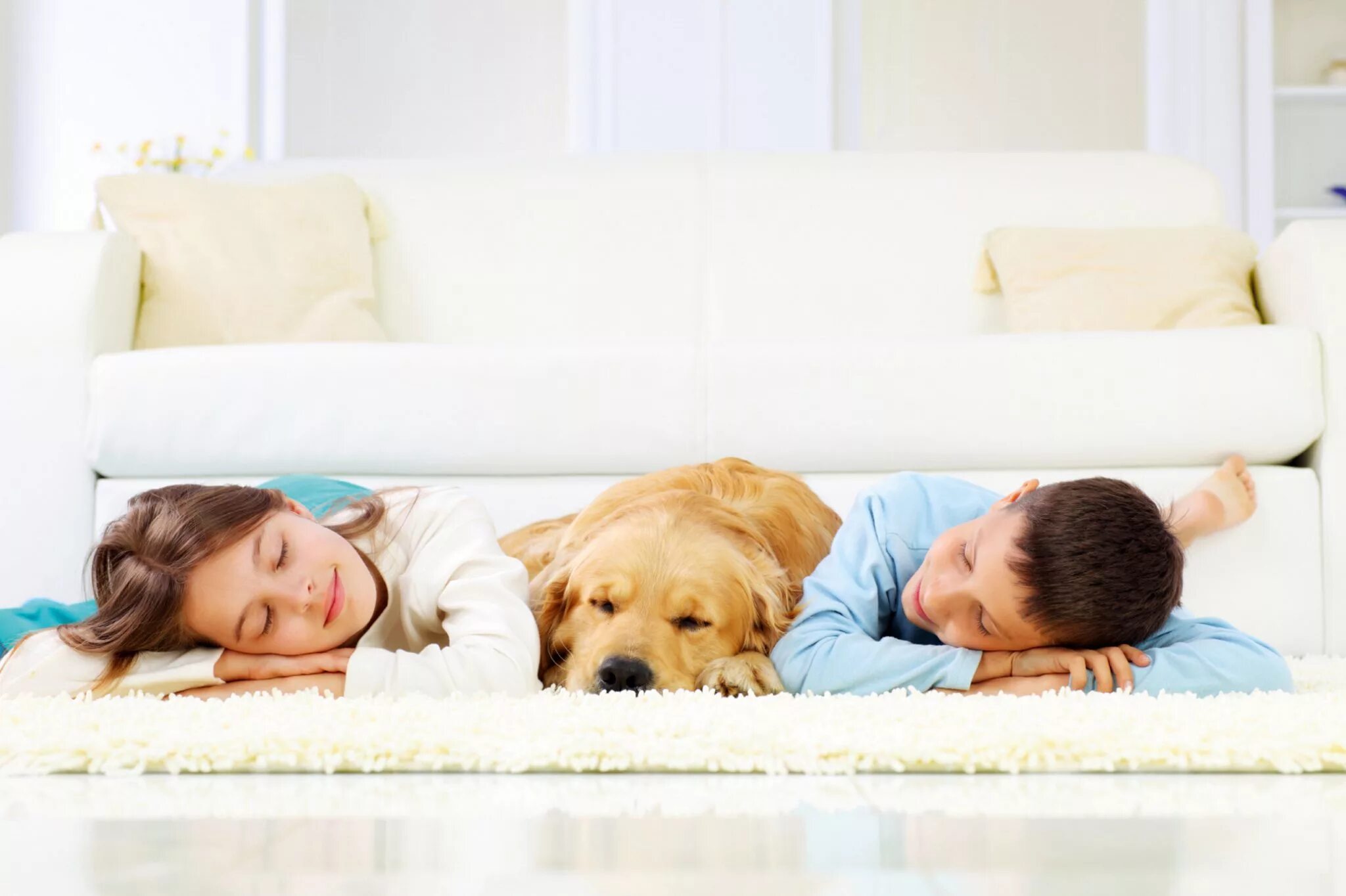Диван для детей. Дети и животные на диване. Собака на ковре. Дети и животные на ковре.