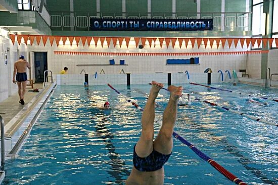 Бассейн сосновый бор ленинградская область. Сосновый бор новосибирск бассейн. Баня в сосновом бору. Бассейн сосновый бор ленинградская область. Бассейн в санатории сосновый бор татарстан.