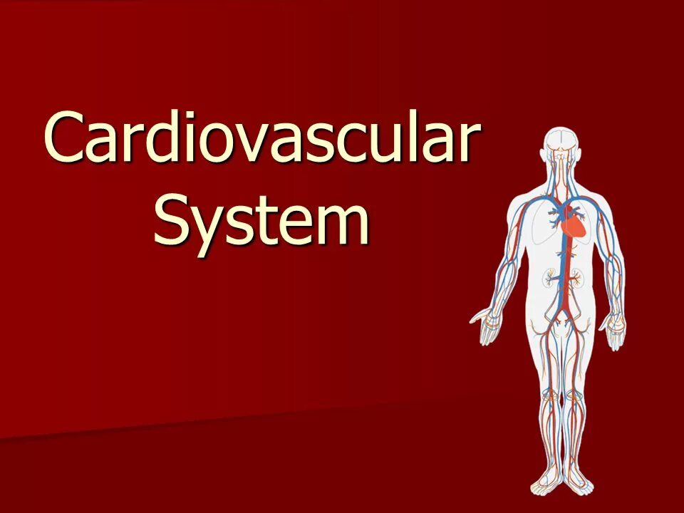 Cardiovascular System Glossary. What is the cardiovascular System?. Cardiovascular system