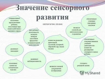 Сенсорное развитие особенности