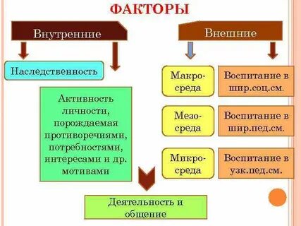 Наследственность и развитие наследственность и среда