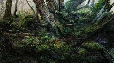 Realistic environment
