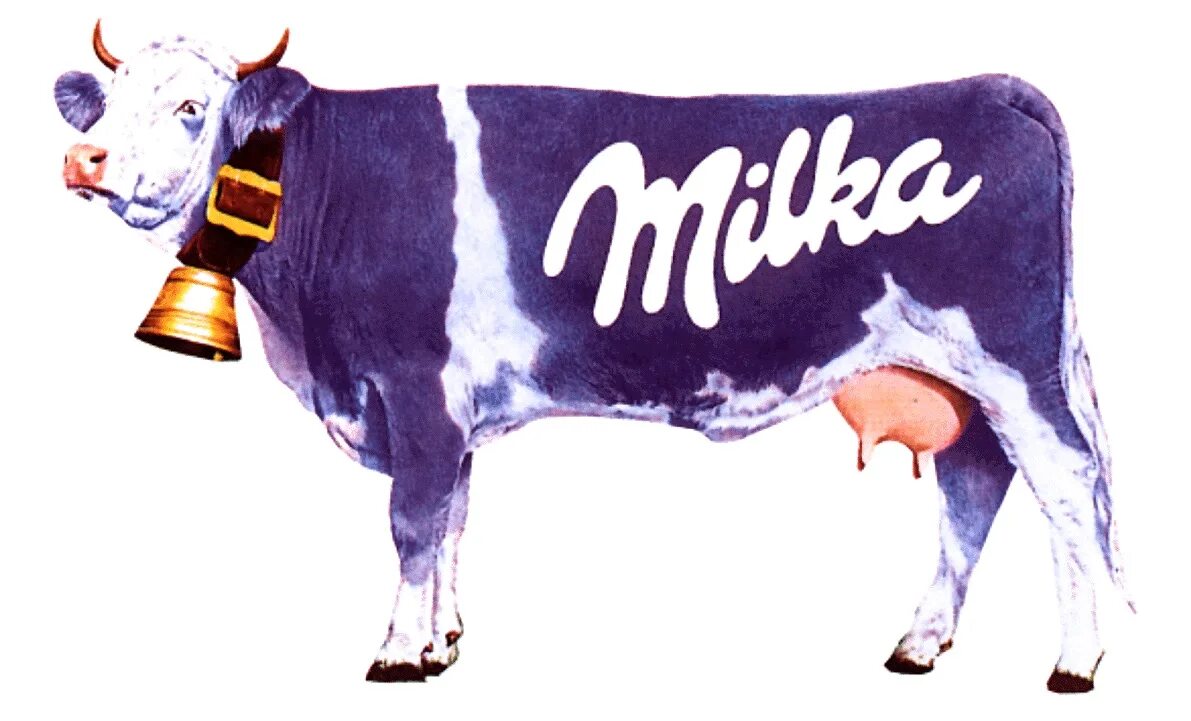Коровка реклама. Milka корова. Корова с Милки. Брендинг Милка. Корова Милка на белом фоне.