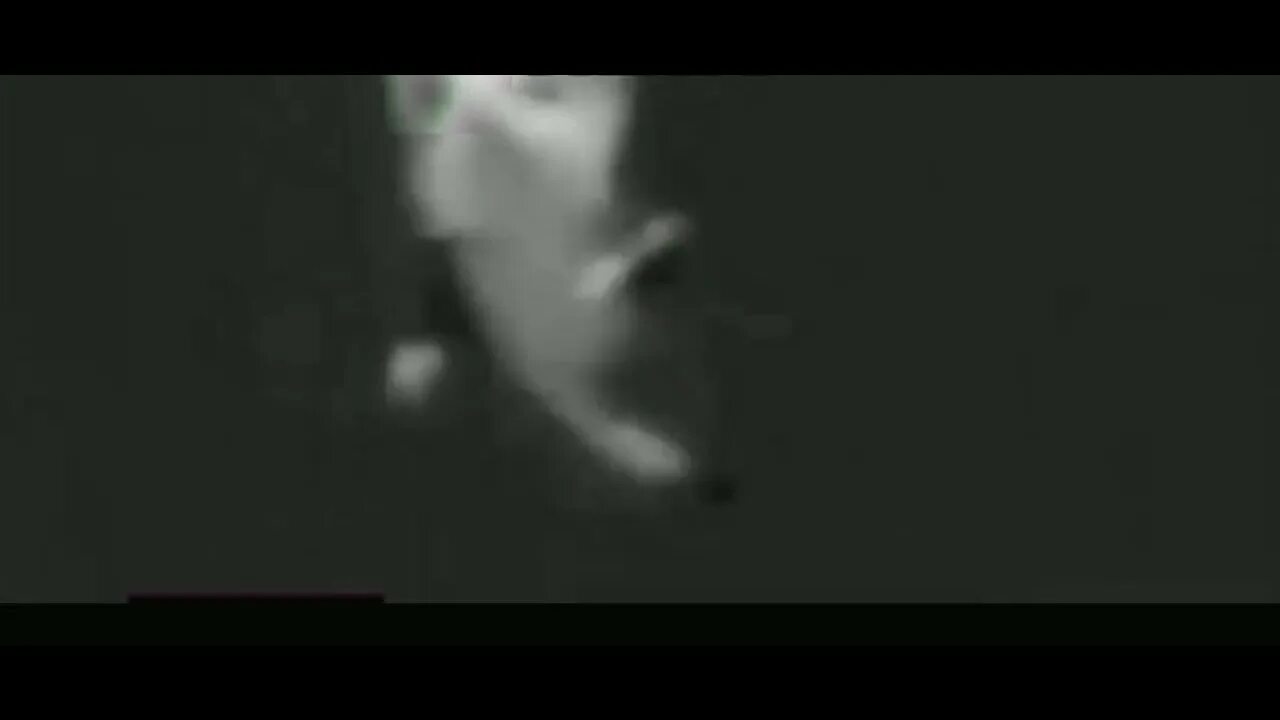 Шни шна шнапи мем с котом YouTube Мемы, Котенок, Мультипликационные иллютрации