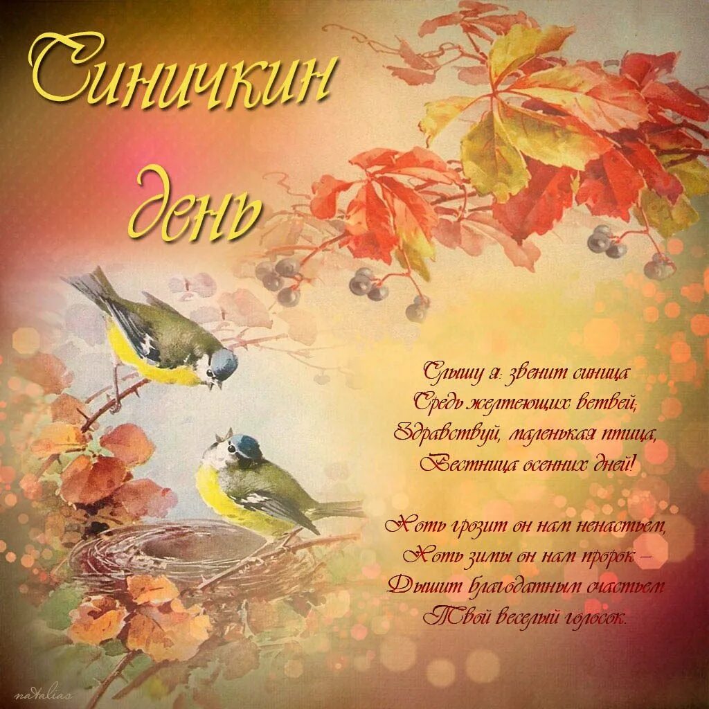 Доброе утро синичкин день. Синичкин день. день синички. с днем птиц поздравления. праздник синичкин день.