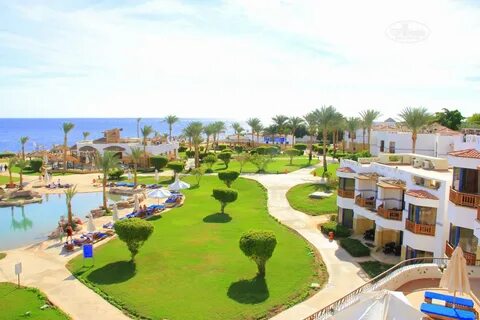 Amphoras ex shores
