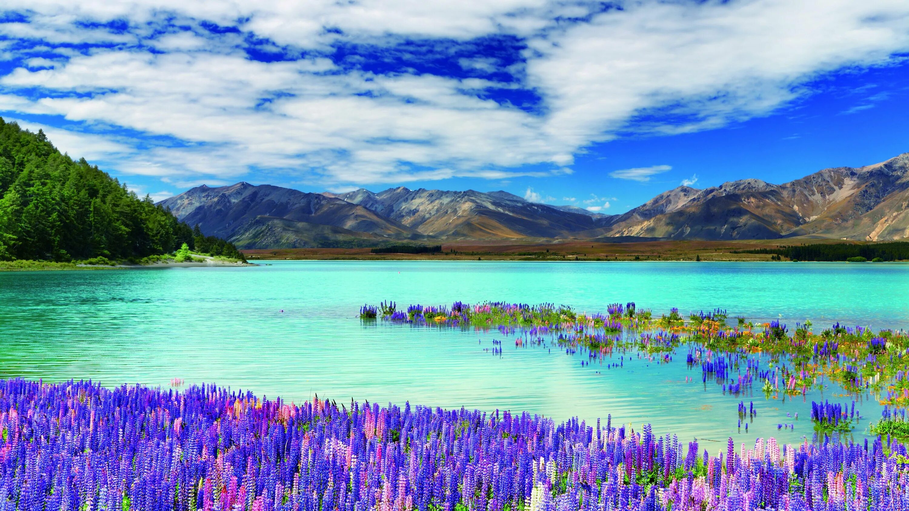 Самые красивые фотографии. Текапо новая Зеландия. Lake Tekapo, новая Зеландия. Озеро Текапо (Lake Tekapo). Озеро Текапо в новой Зеландии фото.