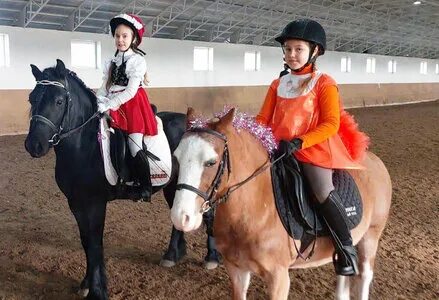 КСК любимая усадьба. КСК любимая усадьба поселок мускатный. Pony club