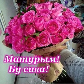 Бэхетле бул