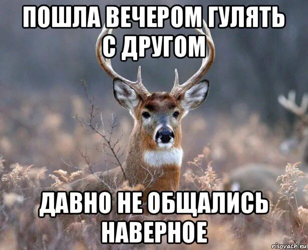 Пошла гулять я с иностранцем