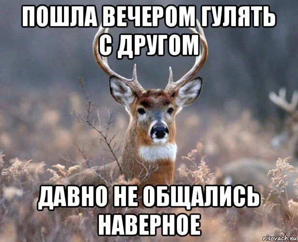 Олень Мем. Наивный олень. Друг олень. Настоящий мужчина олень.