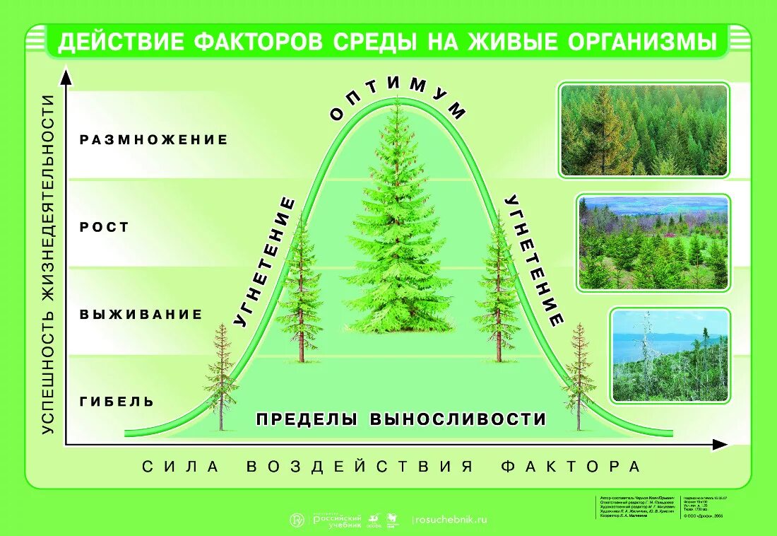 Закон экологического воздействия. Схема действия факторов среды на живые организмы. Схема действия фактора среды на организмы. Закономерности действия факторов среды на организмы. Закономерности действия экологических факторов на организм.