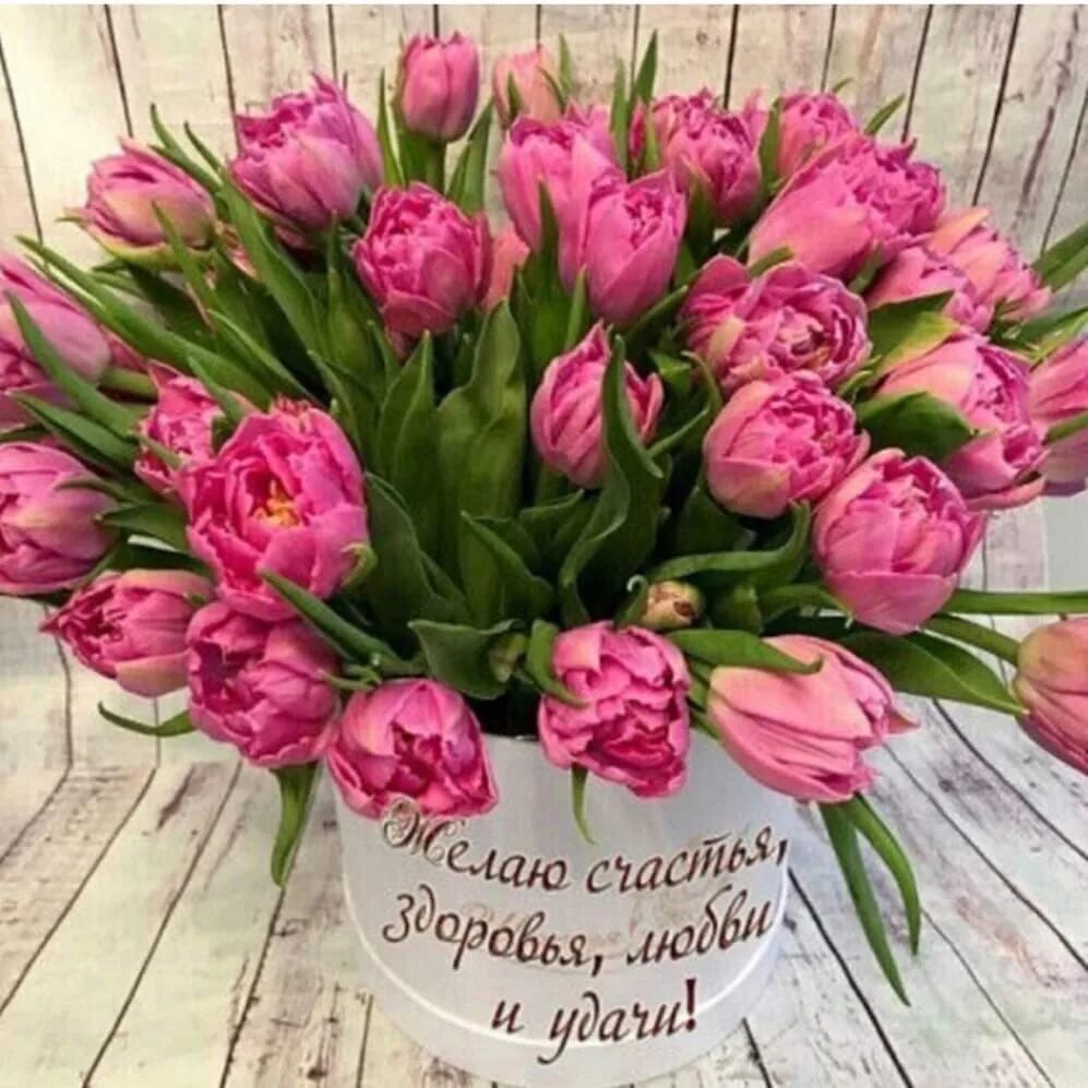 С днем рождения женщине красивые тюльпаны поздравления