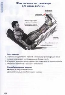 Жим лежа ногами работающие мышцы
