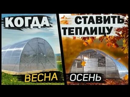 Когда лучше мыть теплицу весной или осенью