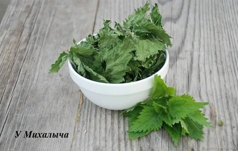 Сухая крапива