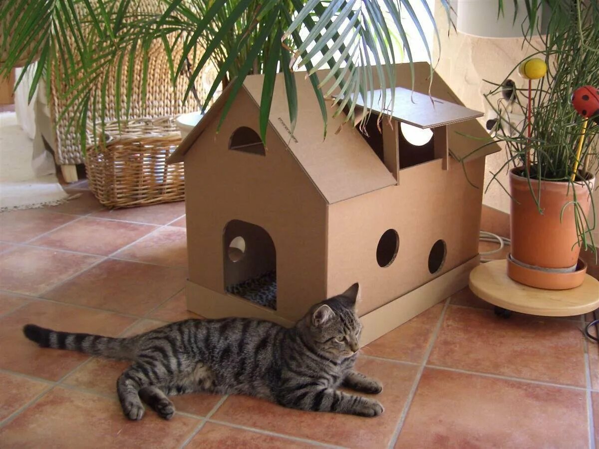 Как сделать дом котика. Кошкин дом домик котят. домик для кошки &quot;кошкин дом&quot;. кошкин дом из коробки.