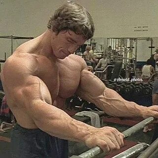 Зал шварценеггера