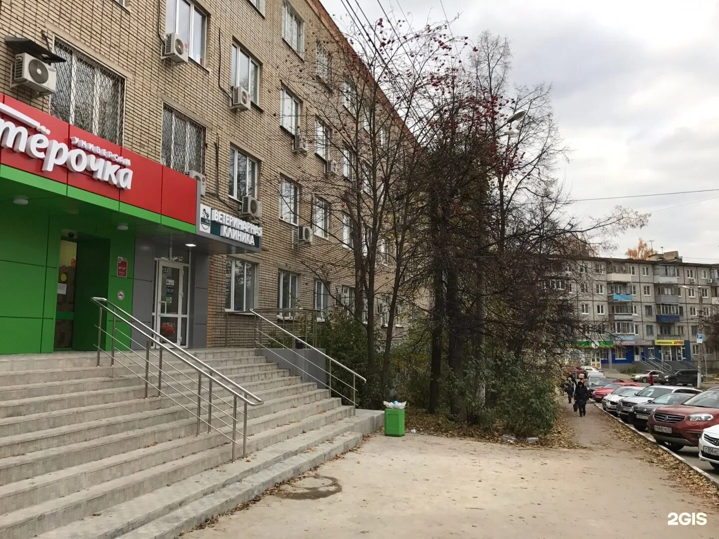 Центр на демонстрации тула. Улица гоголевская тула. тула улица гоголевская 73. тула, гоголевская ул., 76. ветеринарные клиники тулы гоголевская.